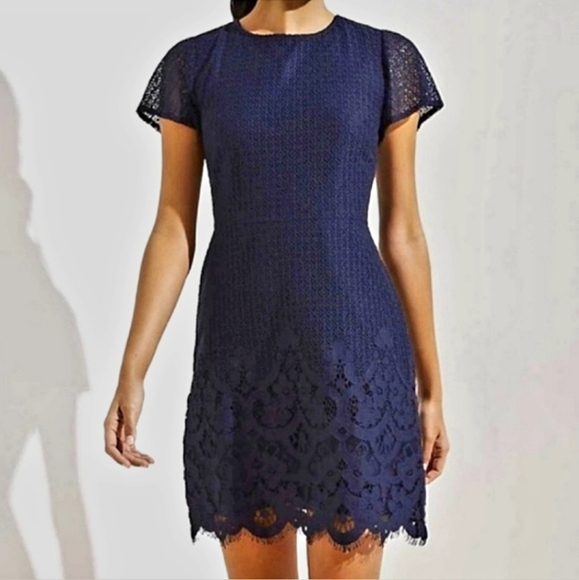 LOFT Lace Shift Dress in Indigo - Size 2 - Picture 1 of 14